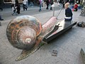 Julian Beever 14�͂�����د����ĉ�����