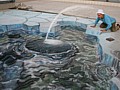Julian Beever 22�͂�����د����ĉ�����