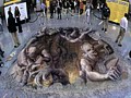 Kurt Wenner 1�͂�����د����ĉ�����
